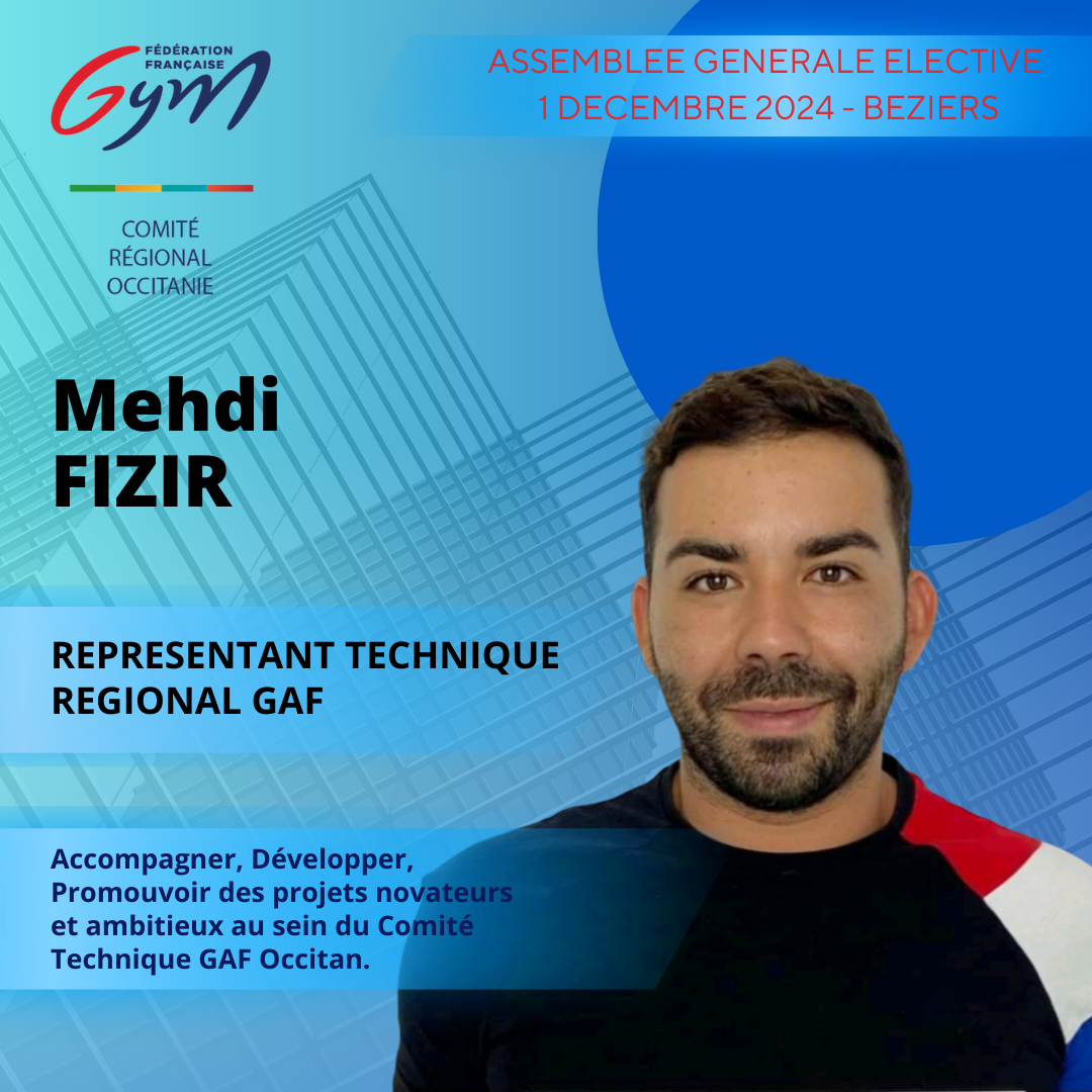 MEHDI FIZIR REPRESENTANT TECHNIQUE REGIONAL GAF