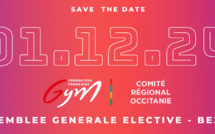 ELECTIONS DU COMITE OCCITANIE - APPEL A CANDIDATURE