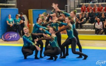 TEAMGYM - FORMATIONS JUGES NIVEAUX 1 à 3 et PERFECTIONNEMENT de CADRES / Saison 2024-25